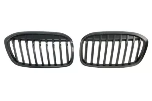 Radiator Grille