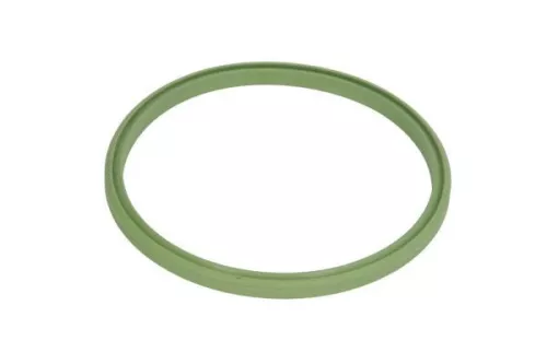 Seal Ring, charge air hose
