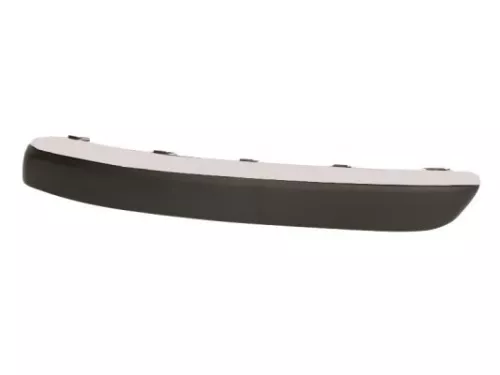 Trim/Protection Strip, bumper