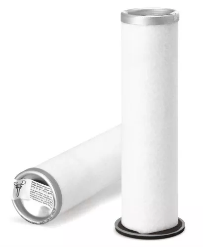 Secondary Air Filter