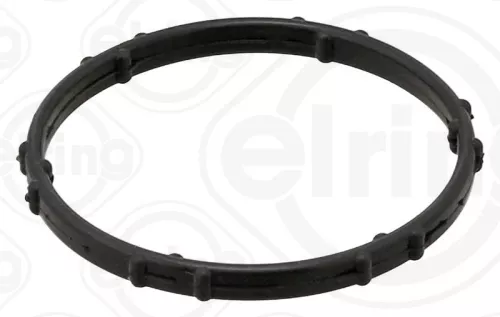 Gasket, coolant flange