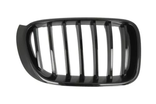Radiator Grille
