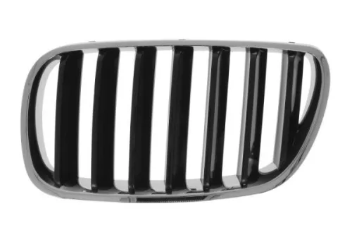 Radiator Grille