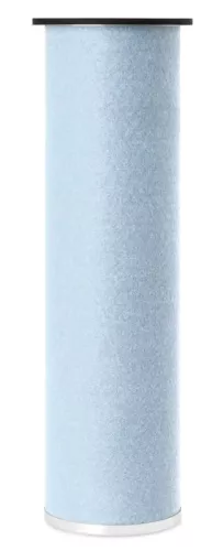 Secondary Air Filter