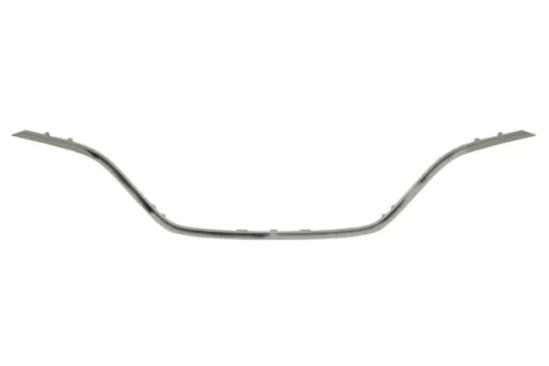 Trim/Protection Strip, radiator grille