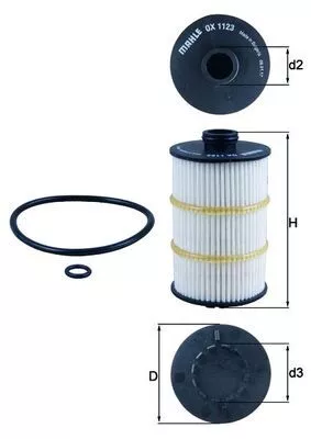 Oil Filter
