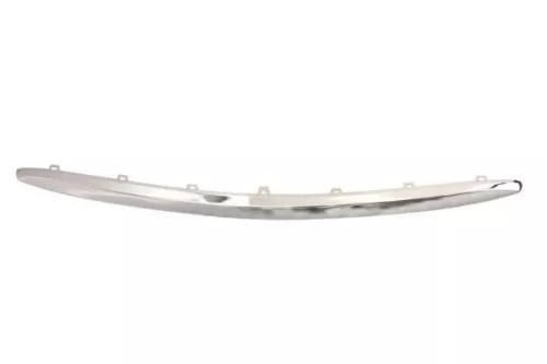 Trim/Protection Strip, bumper