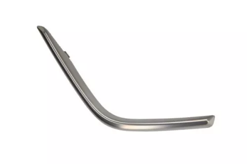 Trim/Protection Strip, bumper
