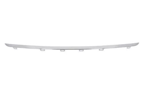 Trim/Protection Strip, bumper