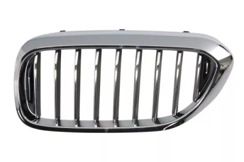Radiator Grille