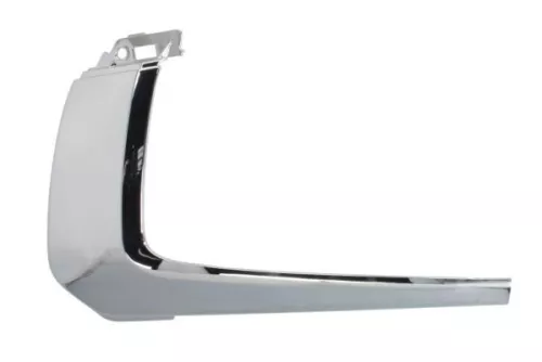 Trim/Protection Strip, bumper