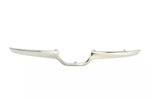 Trim/Protection Strip, radiator grille