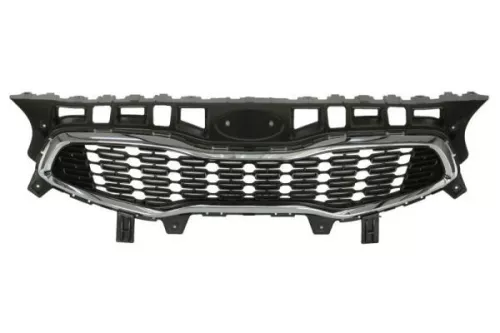 Radiator Grille