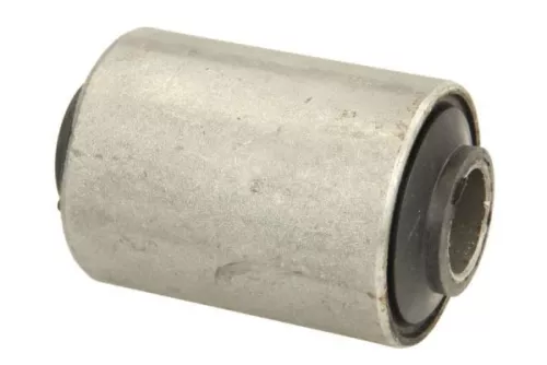 Bushing, leaf spring