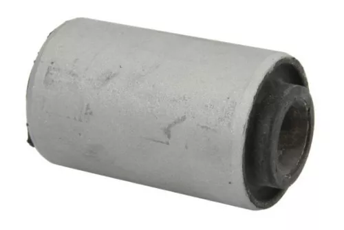 Bushing, leaf spring