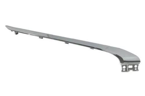 Trim/Protection Strip, bumper