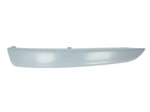 Trim/Protection Strip, bumper