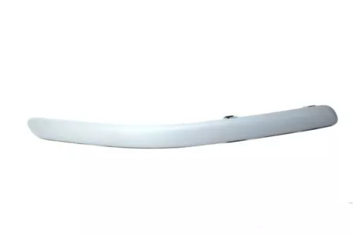 Trim/Protection Strip, bumper