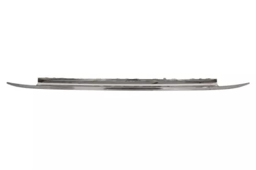 Trim/Protection Strip, bumper