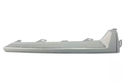 Trim/Protection Strip, bumper