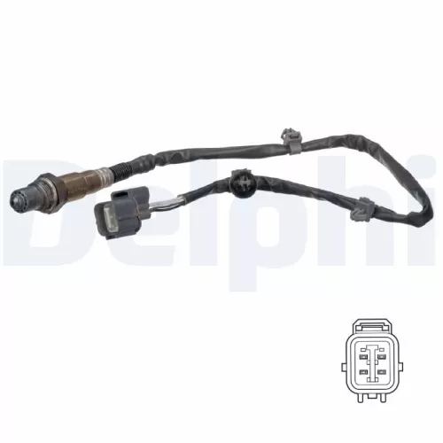 Oxygen Sensor