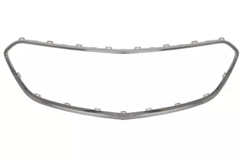 Trim/Protection Strip, radiator grille