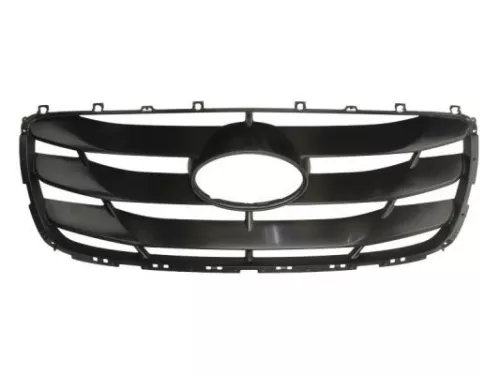 Radiator Grille