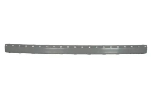 Trim/Protection Strip, bumper