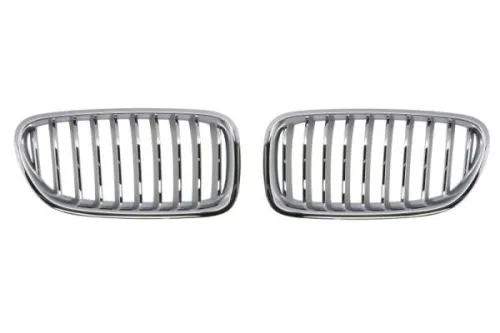 Radiator Grille