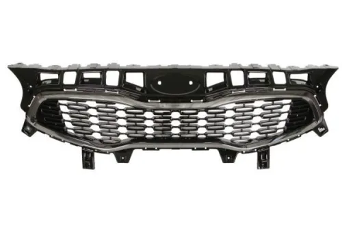 Radiator Grille