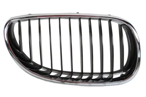 Radiator Grille