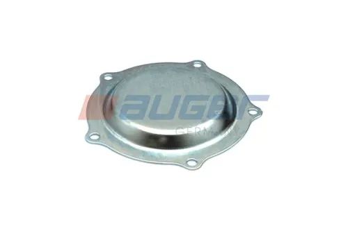 Cap, wheel bearing