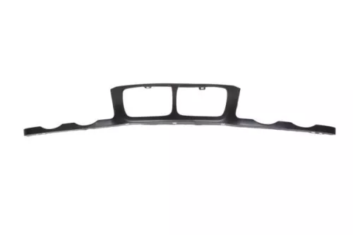 Trim/Protection Strip, radiator grille