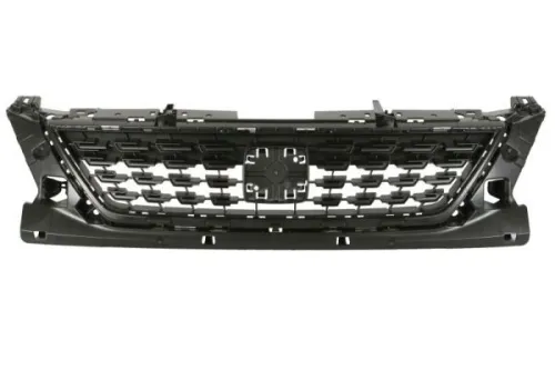Radiator Grille