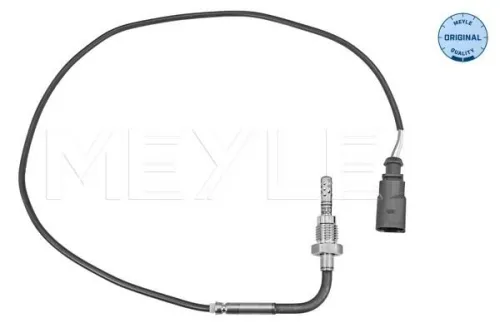Sensor, exhaust gas temperature