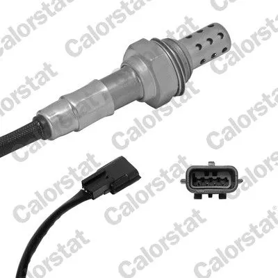 Oxygen Sensor