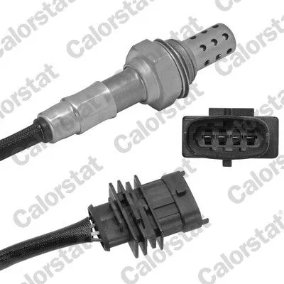 Oxygen Sensor
