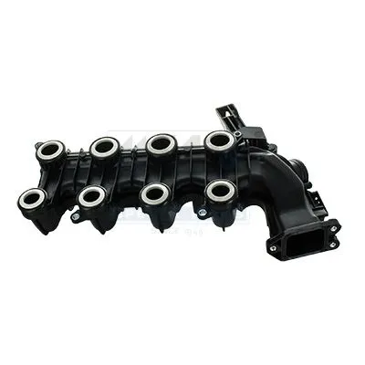 Intake Manifold Module