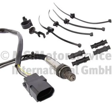 Oxygen Sensor