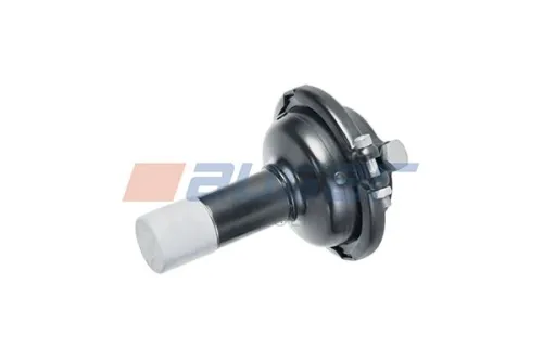 Diaphragm Brake Cylinder