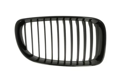 Radiator Grille