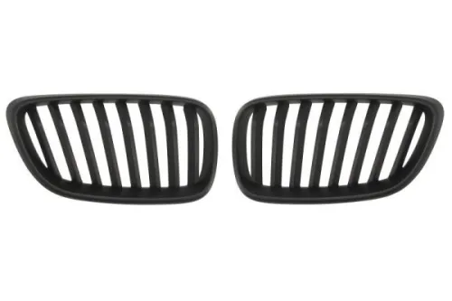 Radiator Grille