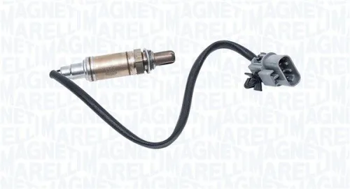 Oxygen Sensor
