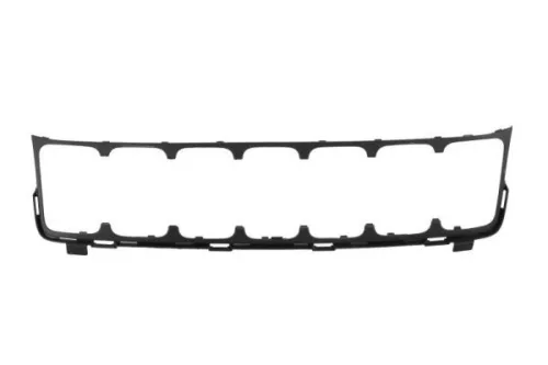 Radiator Grille