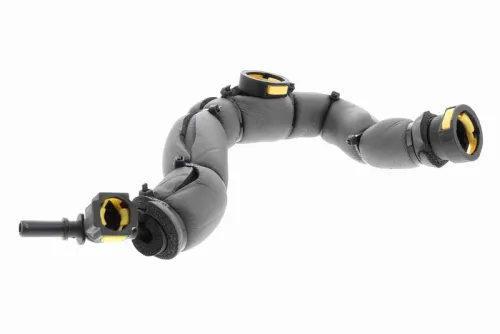 Hose, crankcase ventilation