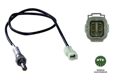 Oxygen Sensor