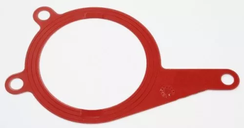 Gasket, vacuum pump