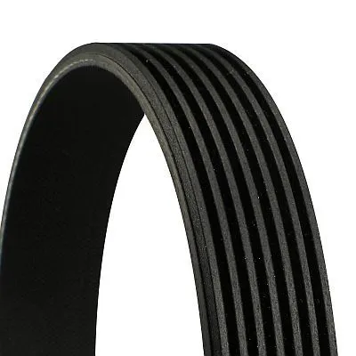 V-ribbed Belt