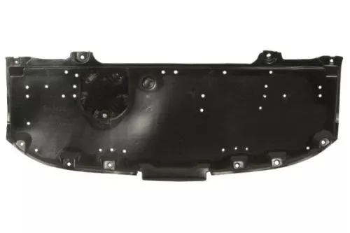 Engine Guard/Skid Plate