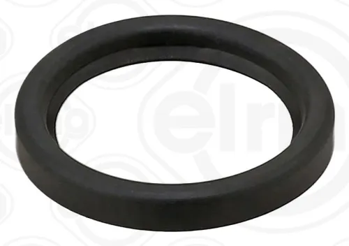 Gasket, oil filler neck cap
